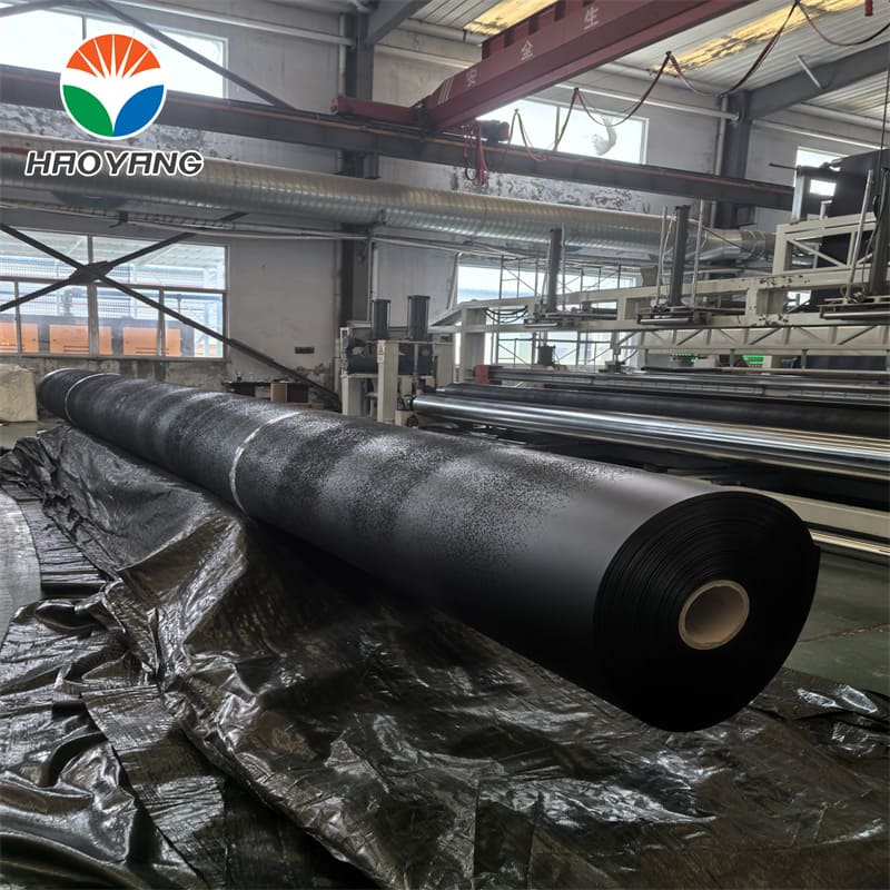 Strukturierte Geokunststoffdichtungsbahn