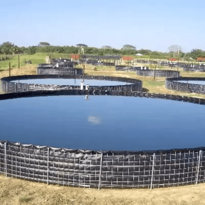 Why HDPE Pond Liner Is the Best Choice for Fish Farming