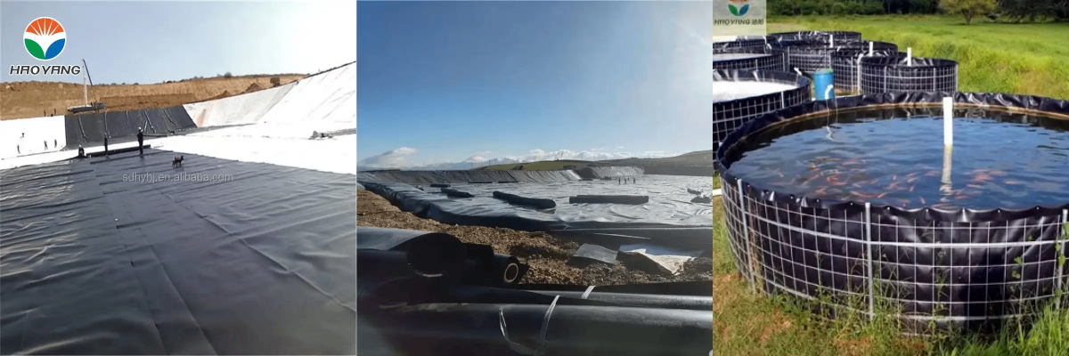 غشاء أرضي للبطانة