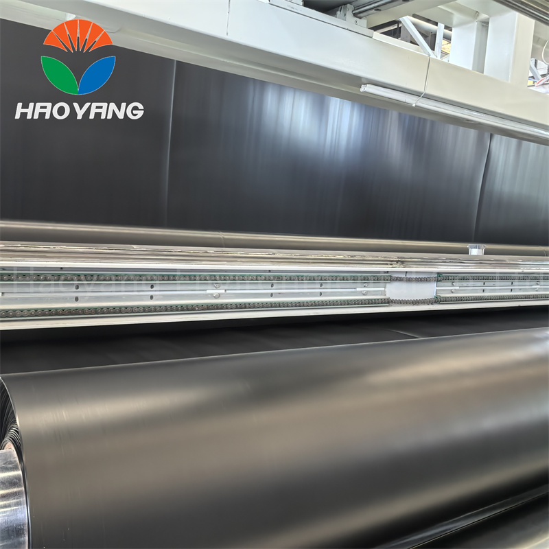 Geomembrane Fish Pond Liners