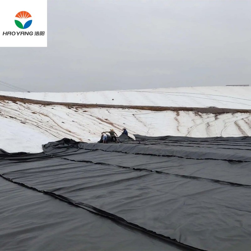 60mil LLDPE Geomembrane