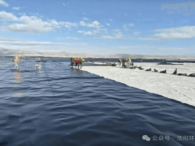 โครงการ "เฮา" - โครงการสกัดลิเธียมจากซอลท์เลค