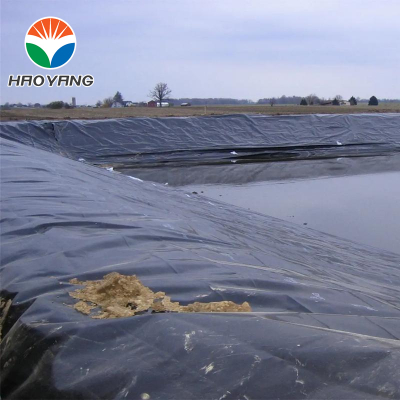Large Pond Liners