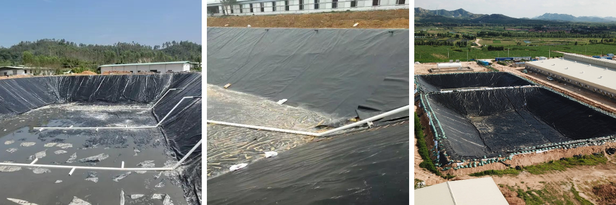 Membranes Geo de 1 mm.jpg