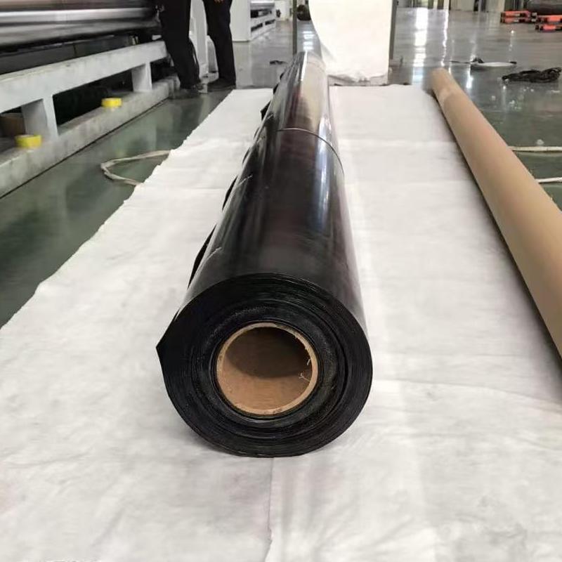 1mm HDPE Geomembrane