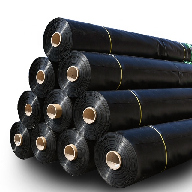 Wholesale Geomembrane Liner para sa Pond at Landfill
