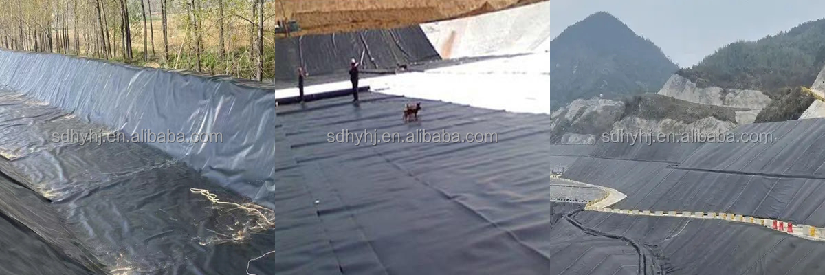 بطانة بركة تربية الأحياء المائية 0.3 مم.jpg بطانة بركة تربية الأحياء المائية 0.3 مم.jpg