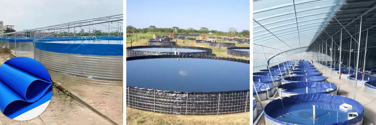 พีวีซีจีโอเมมเบรนสำหรับบ่อปลา