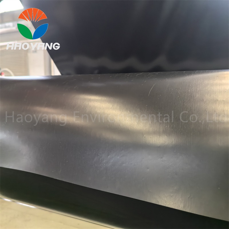 Reinforced HDPE Geomembrane Liner for High-Density Shrimp Farm