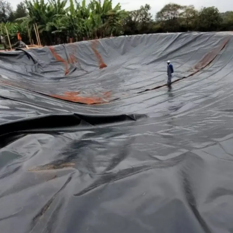 เมมเบรน LDPE หนา 1.5 มม.