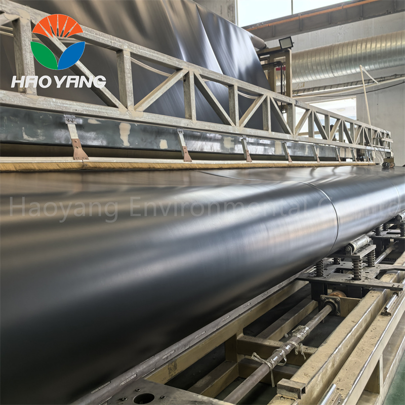 Reinforced HDPE Geomembrane Liner for High-Density Shrimp Farm