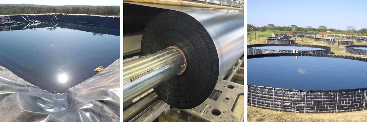 Mengapa Liner Kolam HDPE Merupakan Pilihan Terbaik untuk Budidaya Ikan