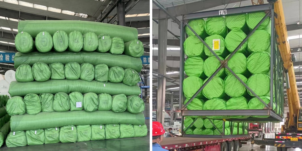 1747125312673363.jpg 1747125312673363.jpg