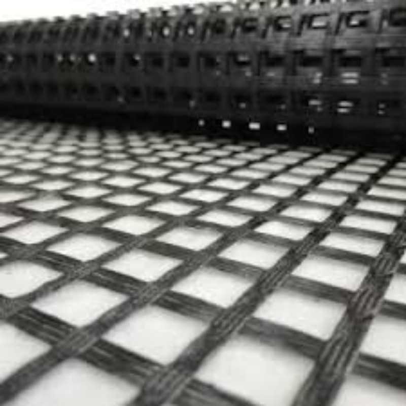 Geogrid Poliester