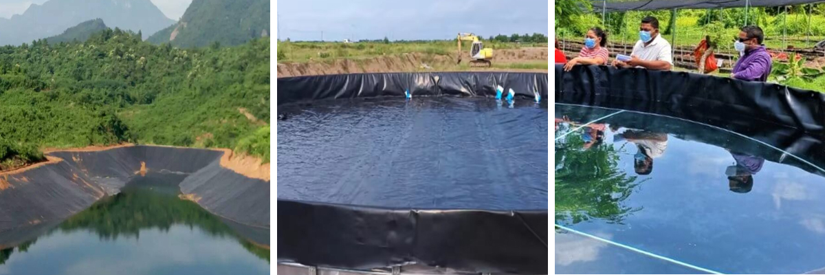Reinforced HDPE Geomembrane Liner for High-Density Shrimp Farm.jpg