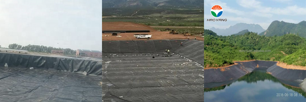 Geomembrane 1.0mm For Fish Shrimp.jpg
