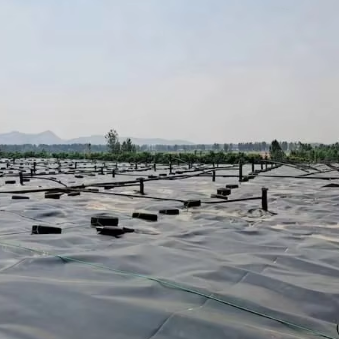 HDPE Liner for Tailing