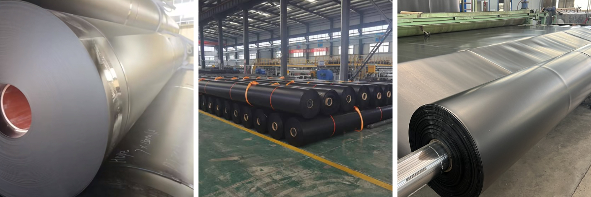 Membranes Geo de 1 mm.jpg