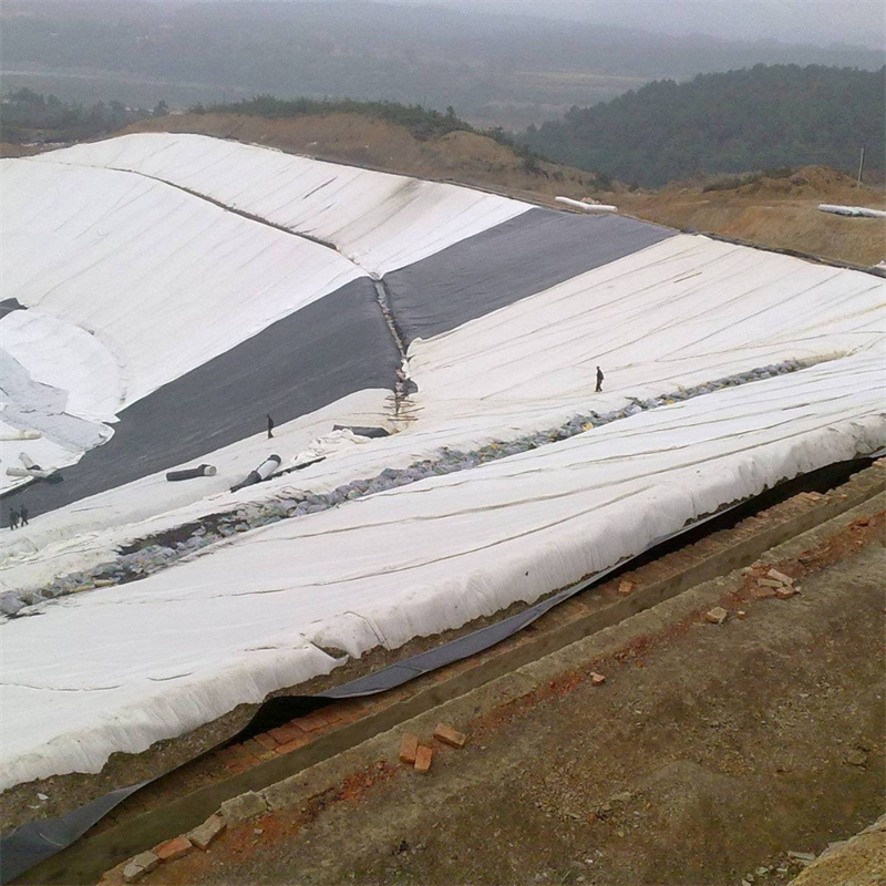 200g/m2 PP Nonwoven Geotextile