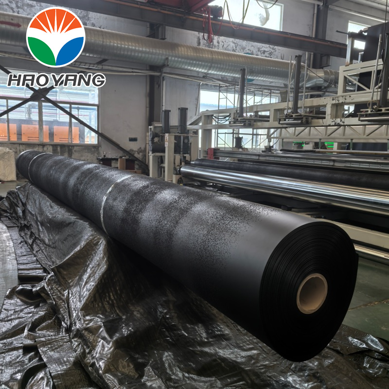 غشاء أرضي من البولي إيثيلين عالي الكثافة (HDPE) لمنحدرات مكبات النفايات