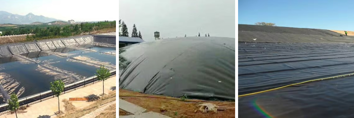 صفيحة غشاء أرضي.jpg