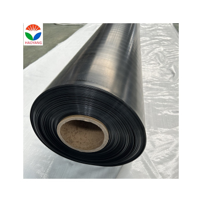 1mm PVC Geomembrane