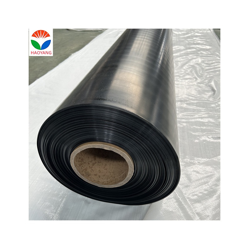 1mm PVC Geomembrane