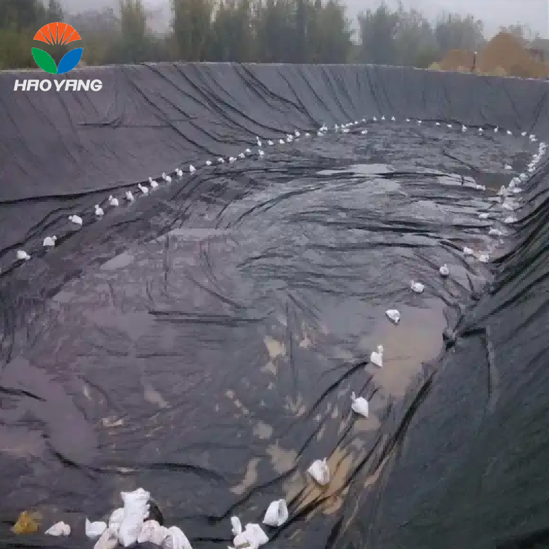 HDPE Pond Liner: The Ultimate Waterproofing Solution for Aquaculture and Agriculture