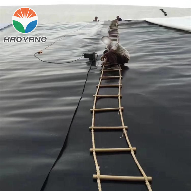 HDPE Geomembrane