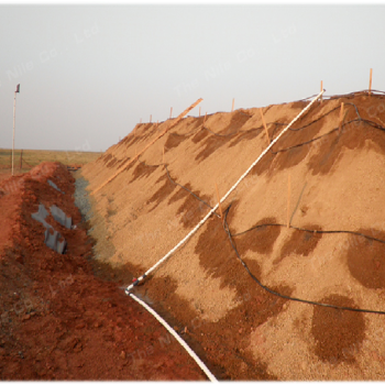 1758682692201744.png 1.png