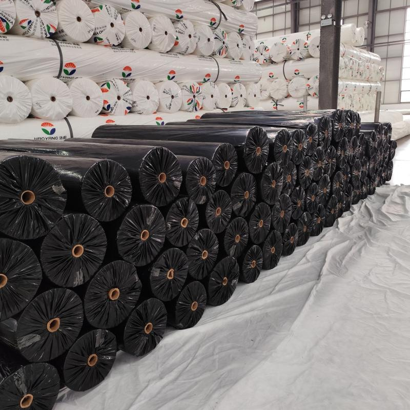 Nonwoven Geotextile Fabric: High-Strength for Soil Stabilization, Drainage & Road Construction