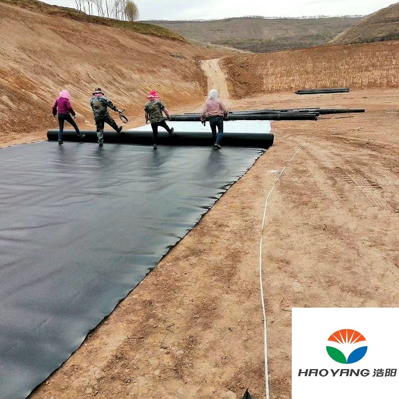 Geomembrane 1.0mm For Fish Shrimp