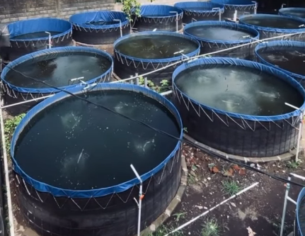 Revestimiento para estanques de 50 milésimas de pulgada