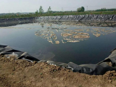 Haoyang Environmental lance ses opérations pour 2026, axées sur la fabrication de géomembranes et l'expansion sur les marchés mondiaux.