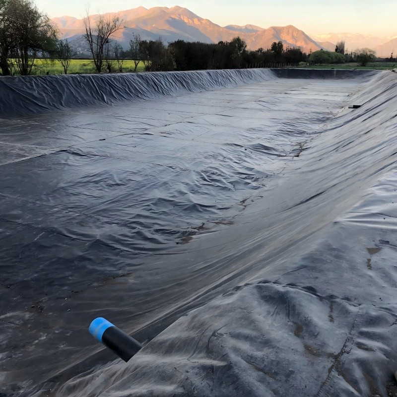 HDPE Pond Liner: The Ultimate Waterproofing Solution for Aquaculture and Agriculture