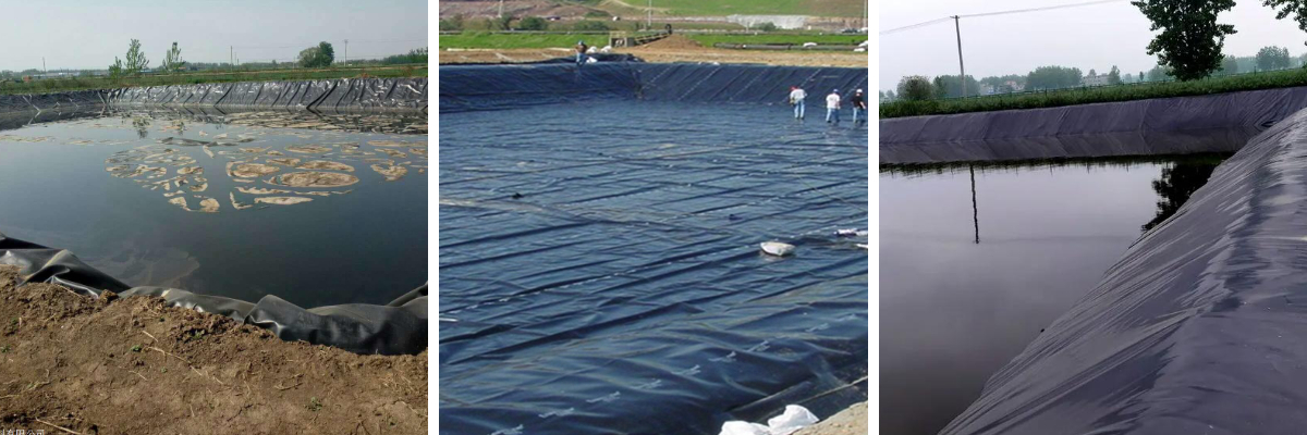 Haoyang apoya la agricultura moderna con geosintéticos avanzados para la gestión del agua y el suelo.jpg