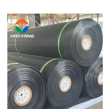 1mm HDPE Geomembrane Liner