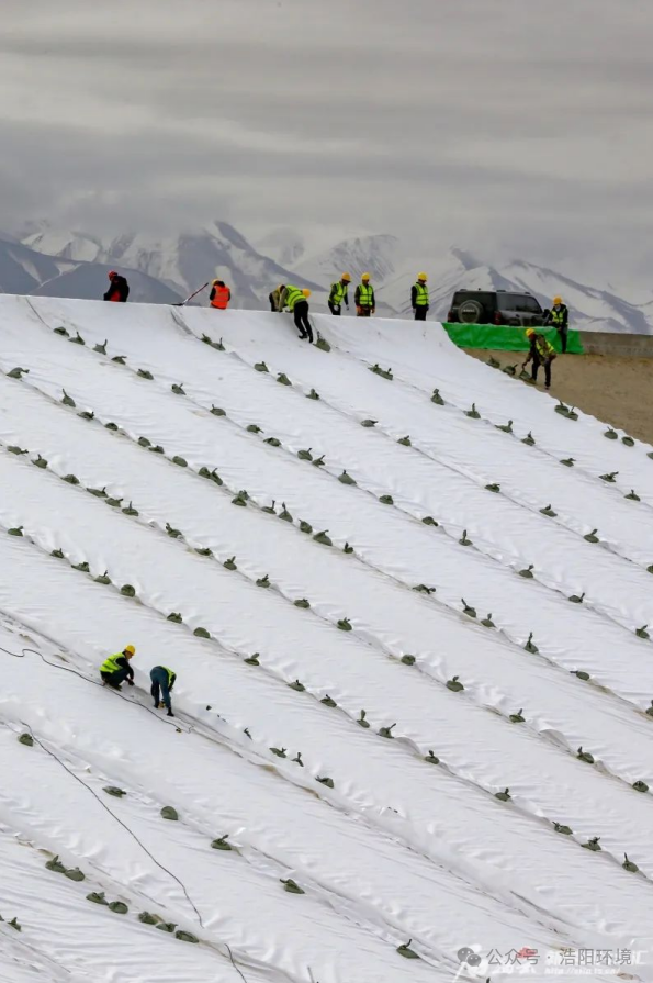 1756348922633563.png 1756348922633563.png