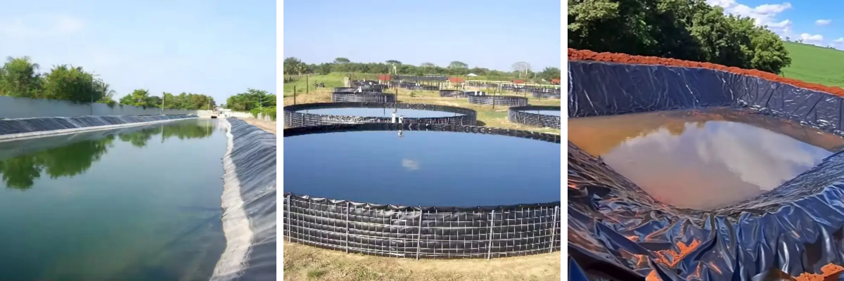 เมมเบรน LDPE หนา 1.5 มม. เมมเบรน LDPE หนา 1.5 มม.