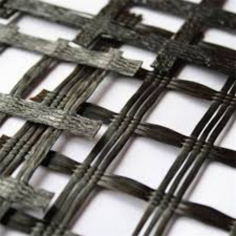 Geogrid Poliester