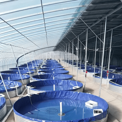 พีวีซีจีโอเมมเบรนสำหรับบ่อปลา