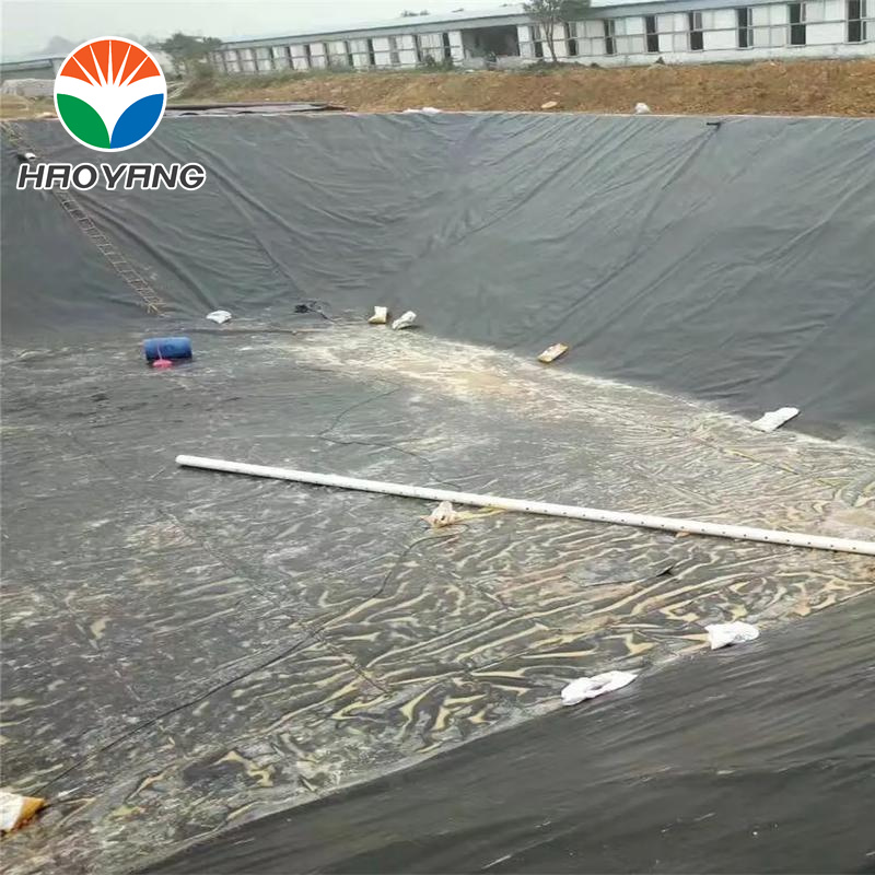 Revestimento para Lagoa de Pesca