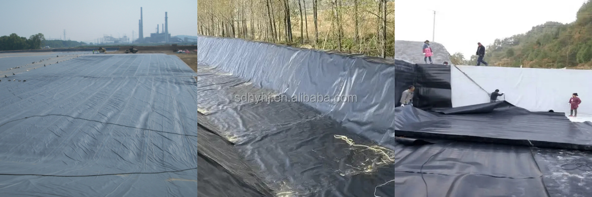 Geomembrane 1.0mm For Fish Shrimp.jpg