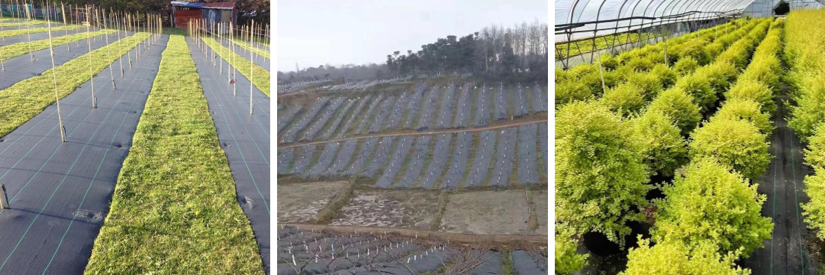 200g PP Woven Geotextile.jpg